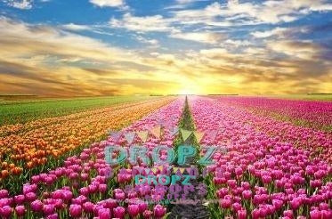 Backdrop - Floral Sunset
