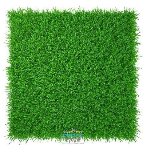 Backdrop - Fresh Green Grass