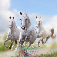 Backdrop - Galloping Horses