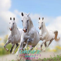 Backdrop - Galloping Horses