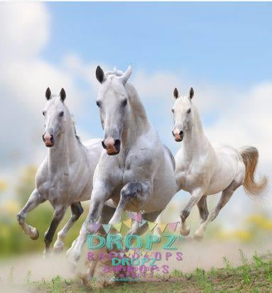 Backdrop - Galloping Horses