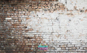 Backdrop - Grungy Brick Wall