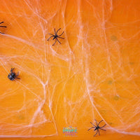 Backdrop - Halloween Spider Cobwebs Backdrop
