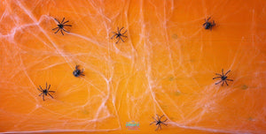 Backdrop - Halloween Spider Cobwebs Backdrop