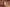 Backdrop - Honey Oak Wooden Planks