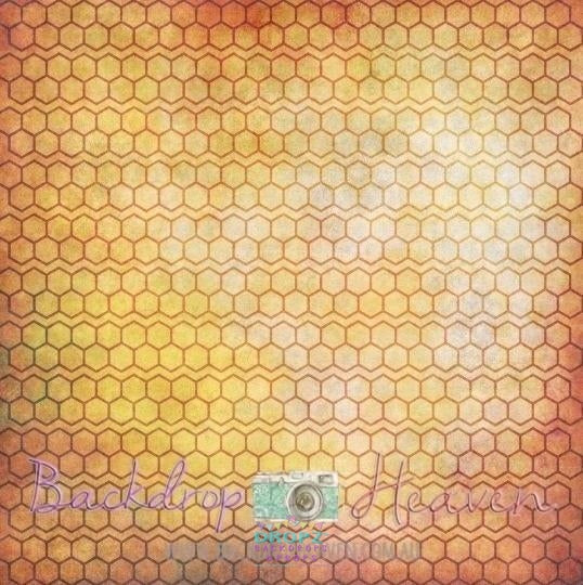Backdrop - Honeycomb Portrait