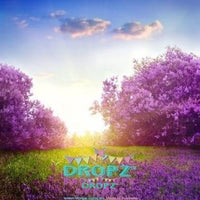 Backdrop - Lavender Dreams