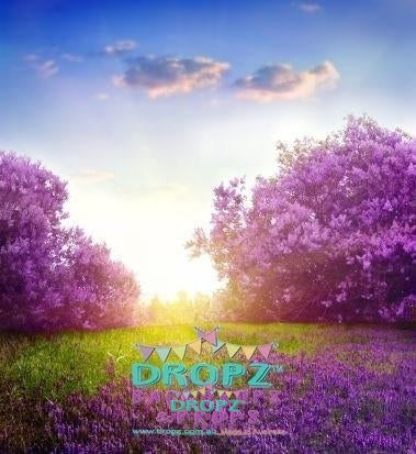 Backdrop - Lavender Dreams