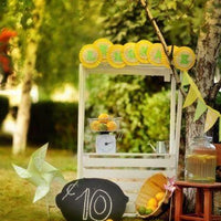 Backdrop - Lemonade Stand