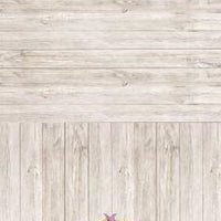 Backdrop - Light Oak Planks All In One