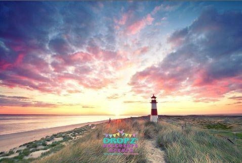 Backdrop - Lighthouse Beach