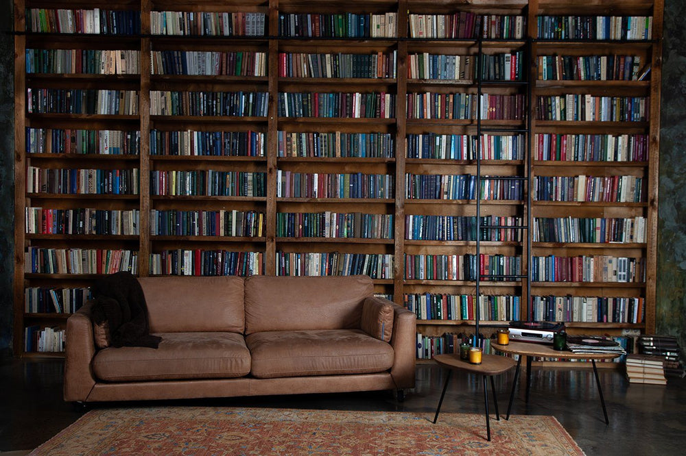 Backdrop - Lounge Chair Books On Bookshelf