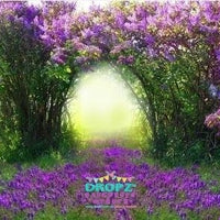 Backdrop - Majestic Floral Arch