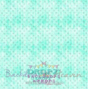 Backdrop - Mint & Grey Spots