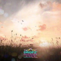 Backdrop - Misty Morning