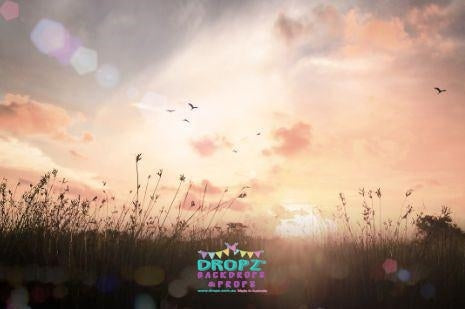 Backdrop - Misty Morning