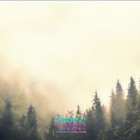 Backdrop - Misty Tree Background