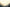 Backdrop - Misty Tree Background