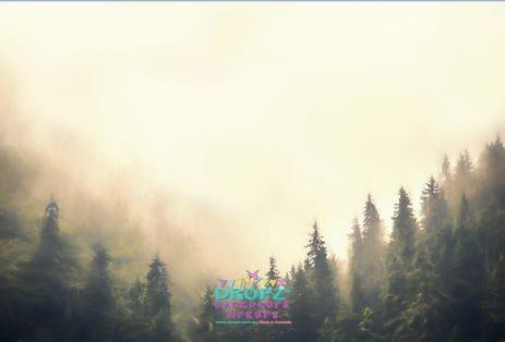 Backdrop - Misty Tree Background