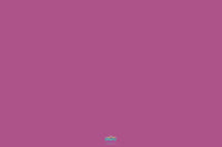 Backdrop - Mulberry Solid Color
