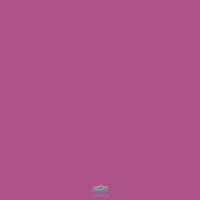 Backdrop - Mulberry Solid Color