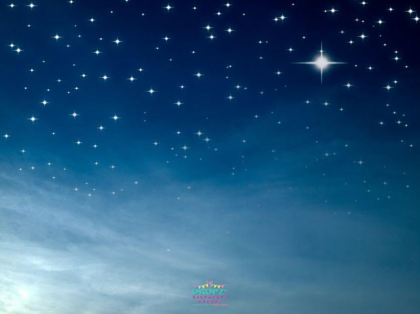 Backdrop - Night Sky Horizon