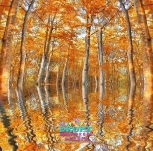 Backdrop - Painted Fall Reflection