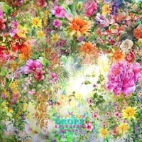 Backdrop - Painted Floral Sensations