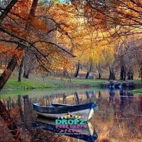 Backdrop - Painted River Boat