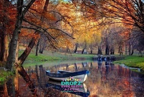Backdrop - Painted River Boat