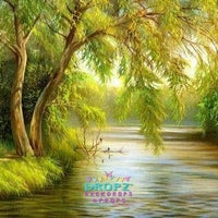 Backdrop - Painted River Willow