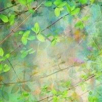 Backdrop - Painted Vine Portrait