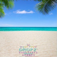 Backdrop - Palm Beach