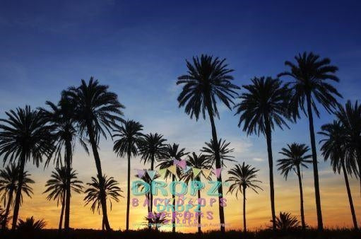 Backdrop - Palm Tree Sunset Beach