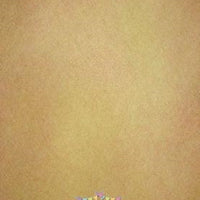 Backdrop - Perfect Portrait Caramel