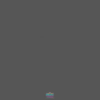 Backdrop - Pewter Grey Backdrop