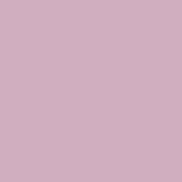 Backdrop - Plain Solid Color Lilac Rose