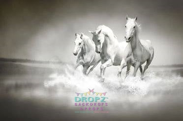 Backdrop - Platinum Horses