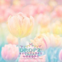 Backdrop - Rainbow Tulip Floral Portrait