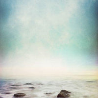 Backdrop - Rockpool Beach Portrait