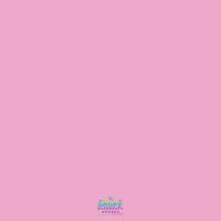 Backdrop - Rose Pink Solid Color