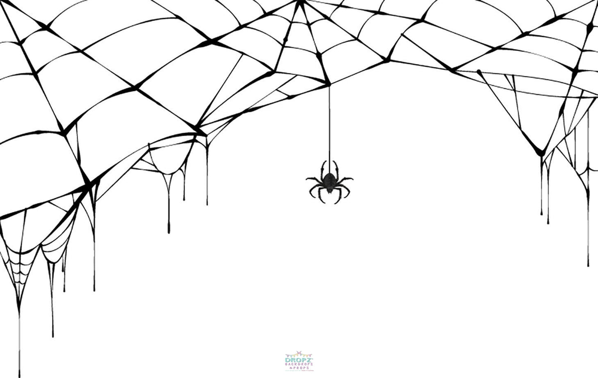 Spider Cobweb Backdrop | Dropz Backdrops | Dropz Backdrops Australia
