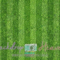 Backdrop - Striped Sports Grass