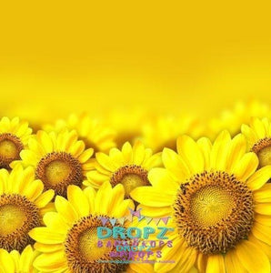 Backdrop - Sunflower Fields