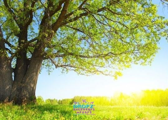 Backdrop - Sunny Meadow Tree