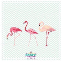Backdrop - Three Flamingo's
