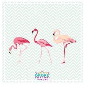 Backdrop - Three Flamingo's