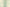 Backdrop - Vintage Planks Spring Mint
