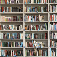 Backdrop - White Bookshelf Library Books