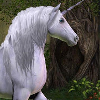 Backdrop - White Unicorn